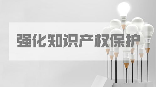 打造新時(shí)代知識(shí)產(chǎn)權(quán)保護(hù)的“硬核力量”