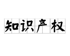 守護知識堡壘 漫談知識產權的重要性