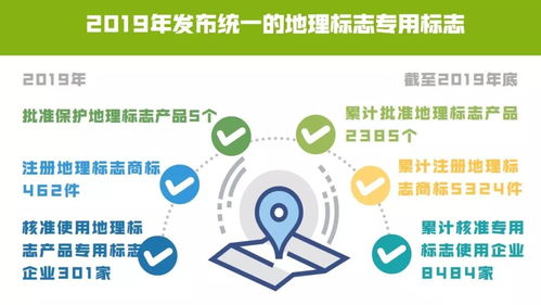 2019年知識產權主要數據 穩步增長與高質量發展并行