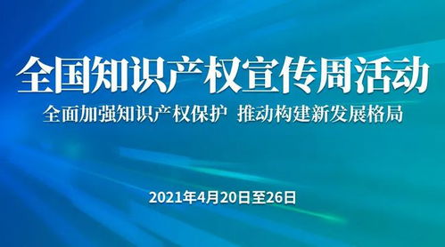 小撒帶您探尋知識產權的奧秘